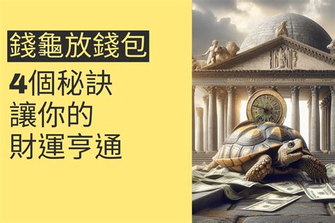 金龜擺放|錢龜放錢包：4個秘訣讓你的財運亨通